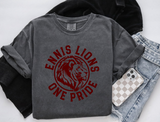 Unisex Short Sleeve T - Ennis One Pride