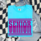 Unisex Short Sleeve T - Senior Stripes (Customize)